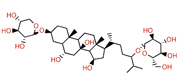 Asterosaponin D3